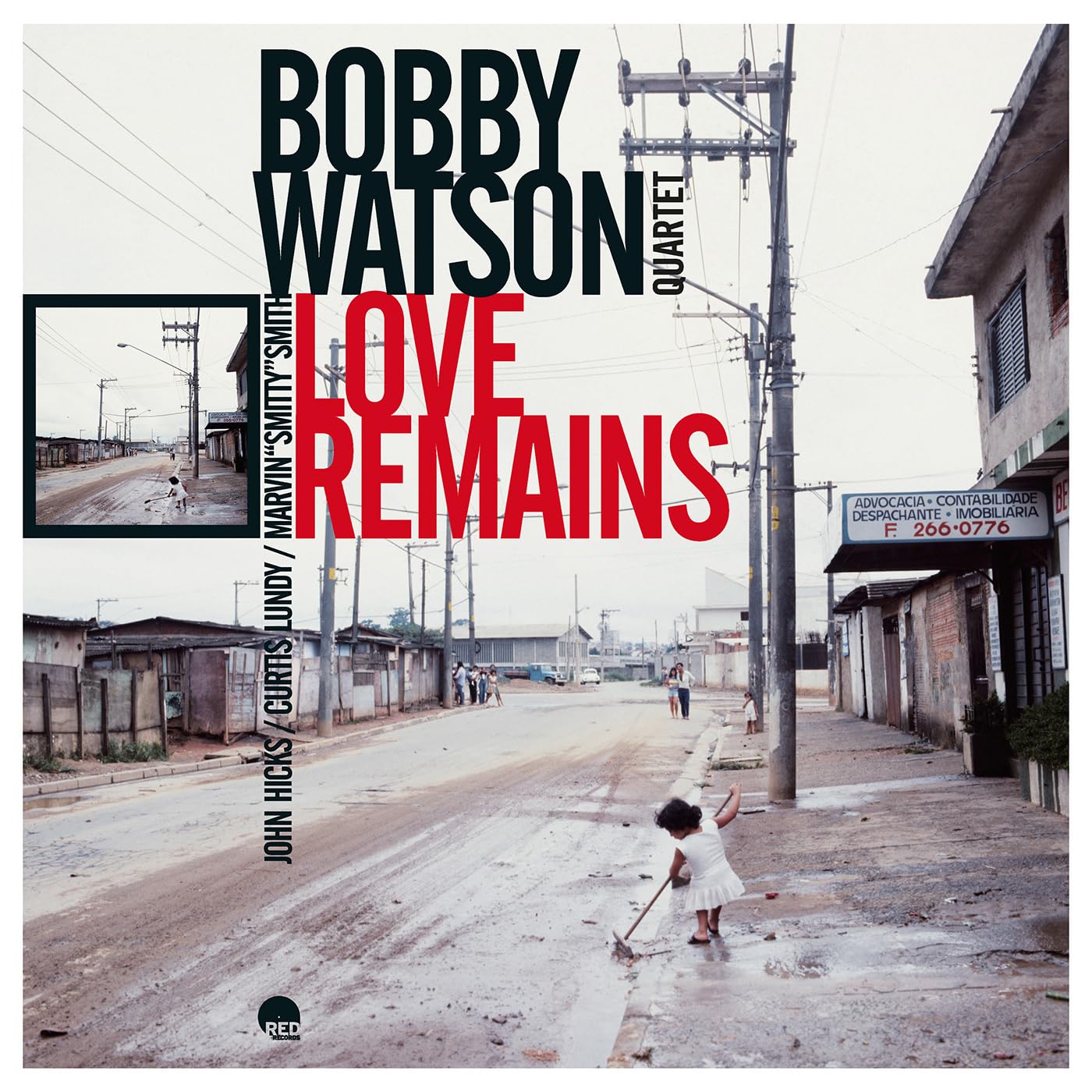 Love Remains [VINYL]