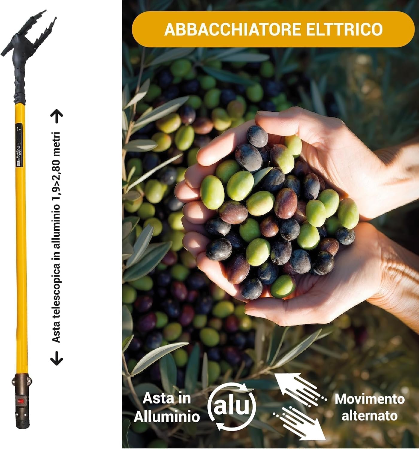 Abbacchiatore Elettrico per Olive 12V con Asta Telescopica in Alluminio 400w, Movimento Alternato 800 battiti/min, Pettine in Tecnopolimero, Cavo 15 m, Scuotitore Professionale Raccolta Olive