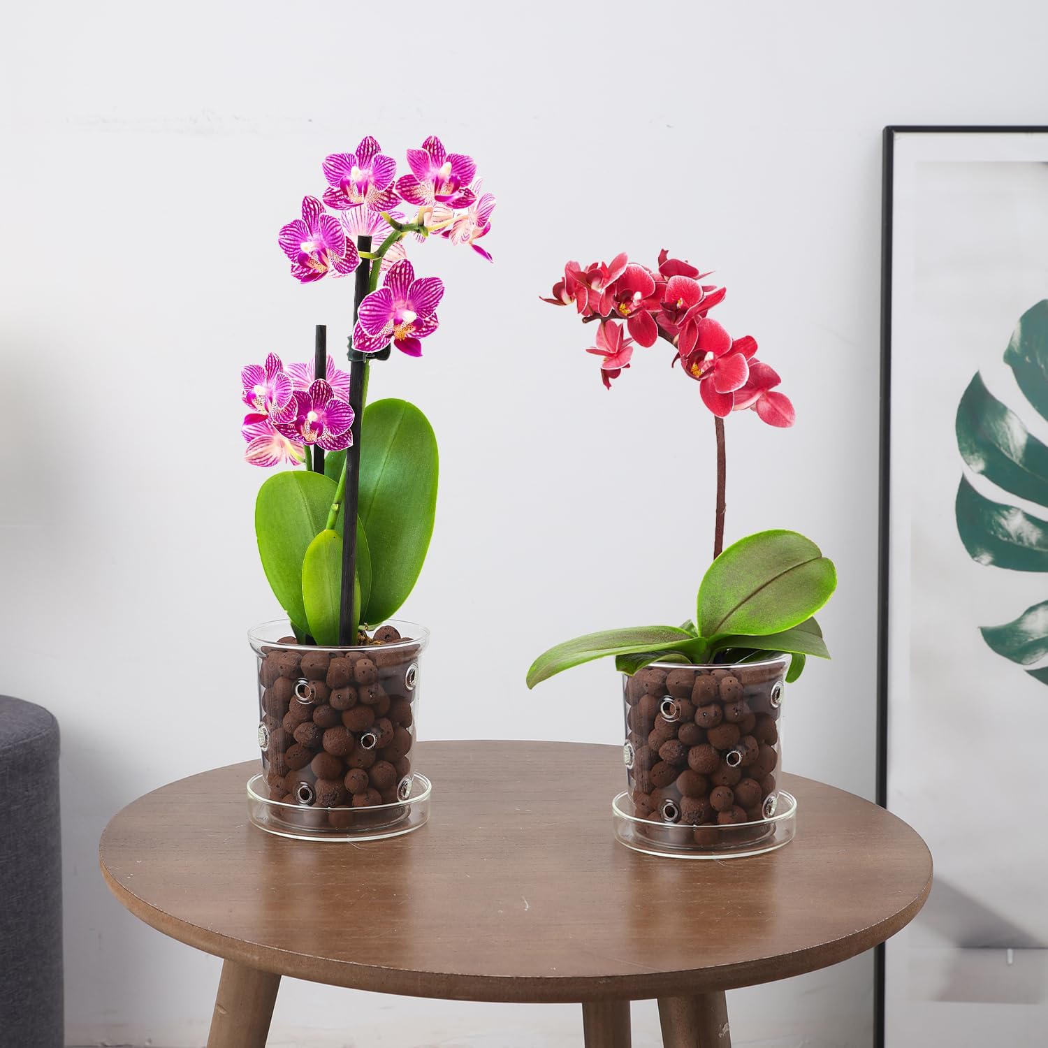 PERFECTOP 2Pcs 4.3+5.8inch Glass Orchid Pots with Holes