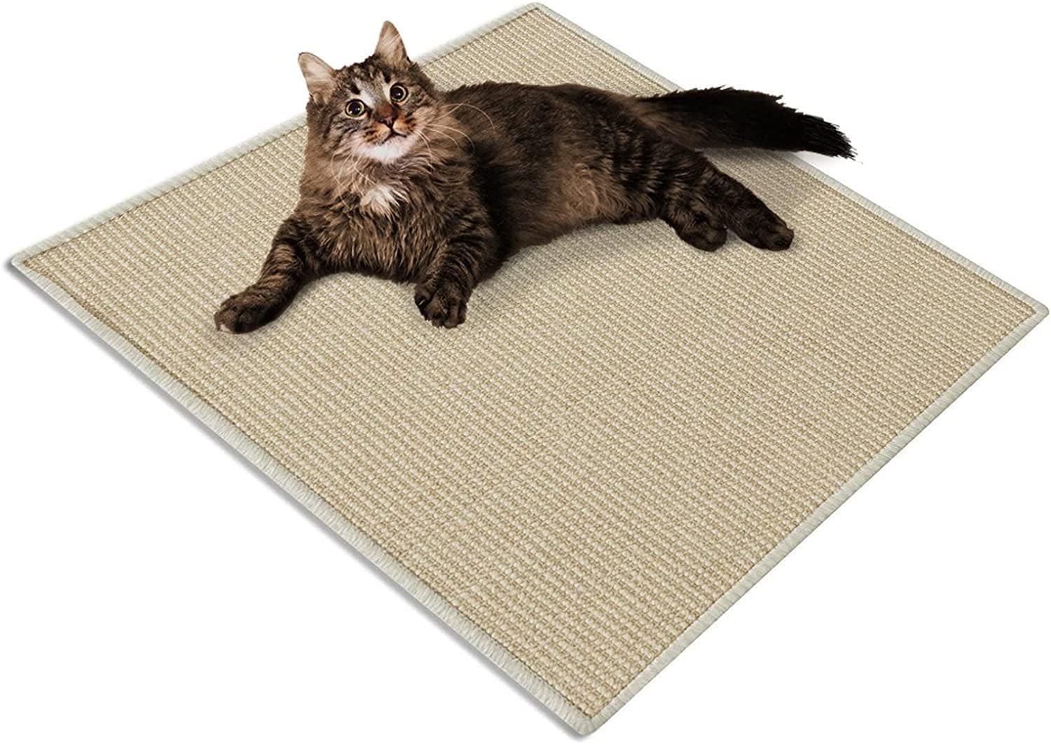KARAT Tappeto per graffi in Sisal, protezione ideale per i vostri mobili e il benessere del gatto, tappeto in sisal resistente, tappeto per gatti con bordo in cotone, tappeto in fibra naturale (100 x