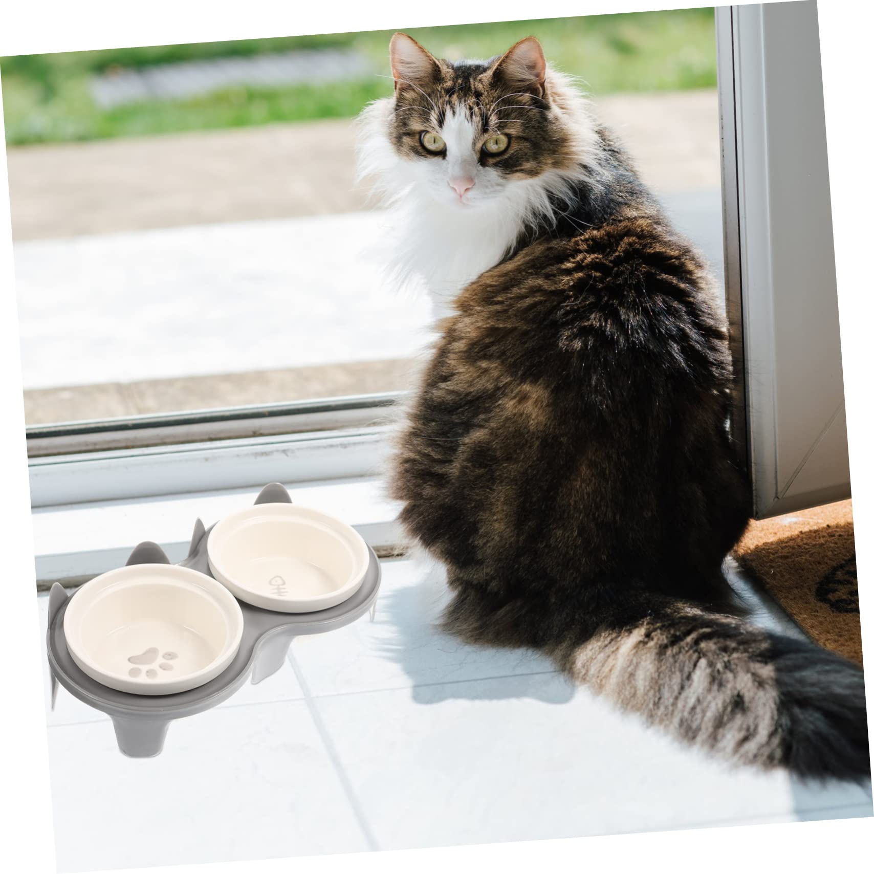 Erhöhter Katzennapf aus Keramik mit Ständer, Geneigtes Design | Doppelnapf Satz, Bissfest, Abnehmbar Aufgebaut, für Futter und Wasser Gleichzeitig, Haustierbedarf