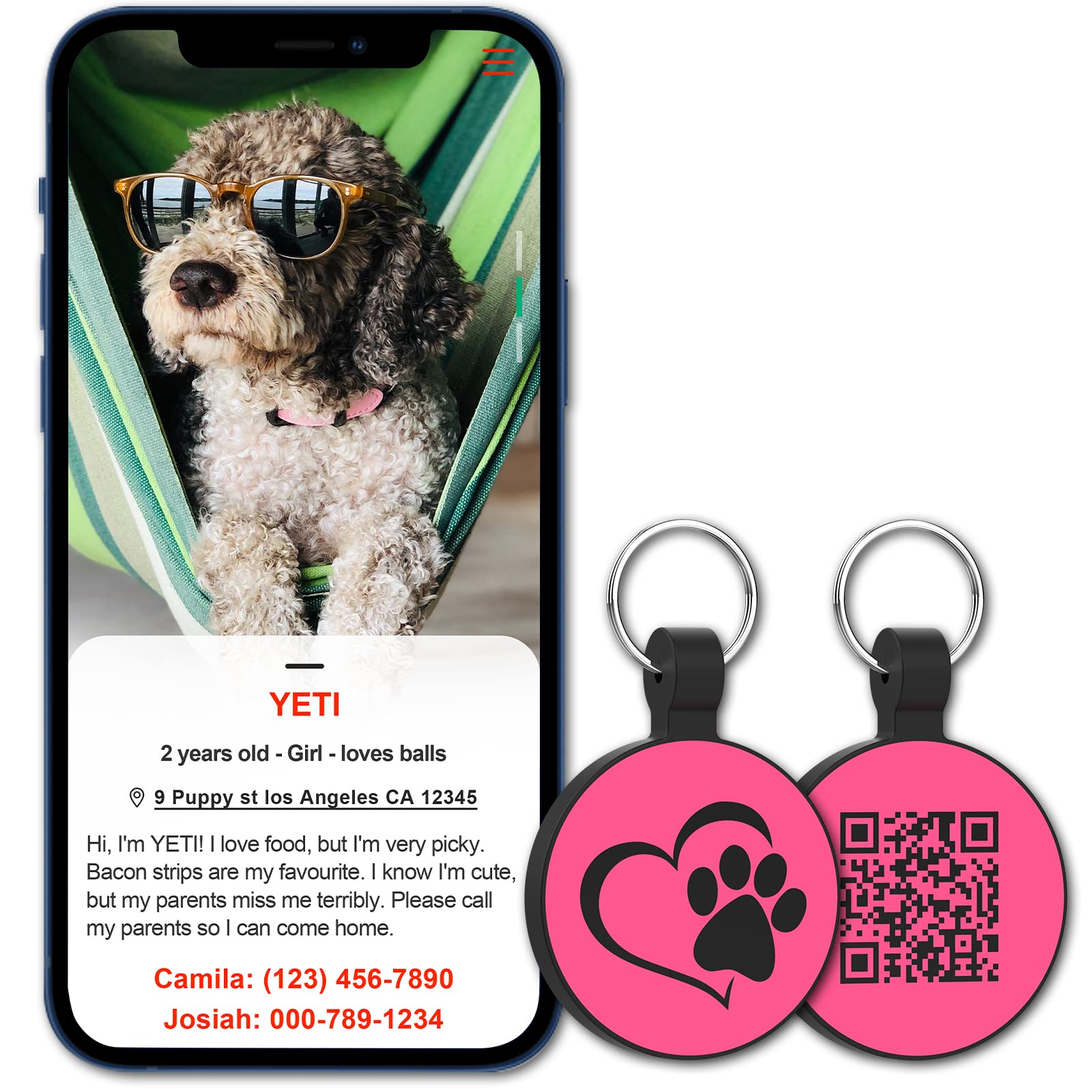 Pay money To my Pain Dog Tag ドッグタグ Amazon.co.jp: Pay money to my pain Dog Tag Fully Made-to