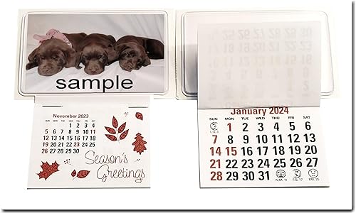 Miniatura 7 de 2024 - Tarjeta de visita adhesiva para auto, camión, calendario, bolsillo transparente en blanco (juego de 10)