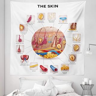 Ambesonne Science Tapestry King Size, Skin Anatomy Elements in Round Shaped Diagram Pores Hair Roots Veins Sensory, Wall Hanging Bedspread Bed Cover Wall Decor, 88" X 88", Multicolor