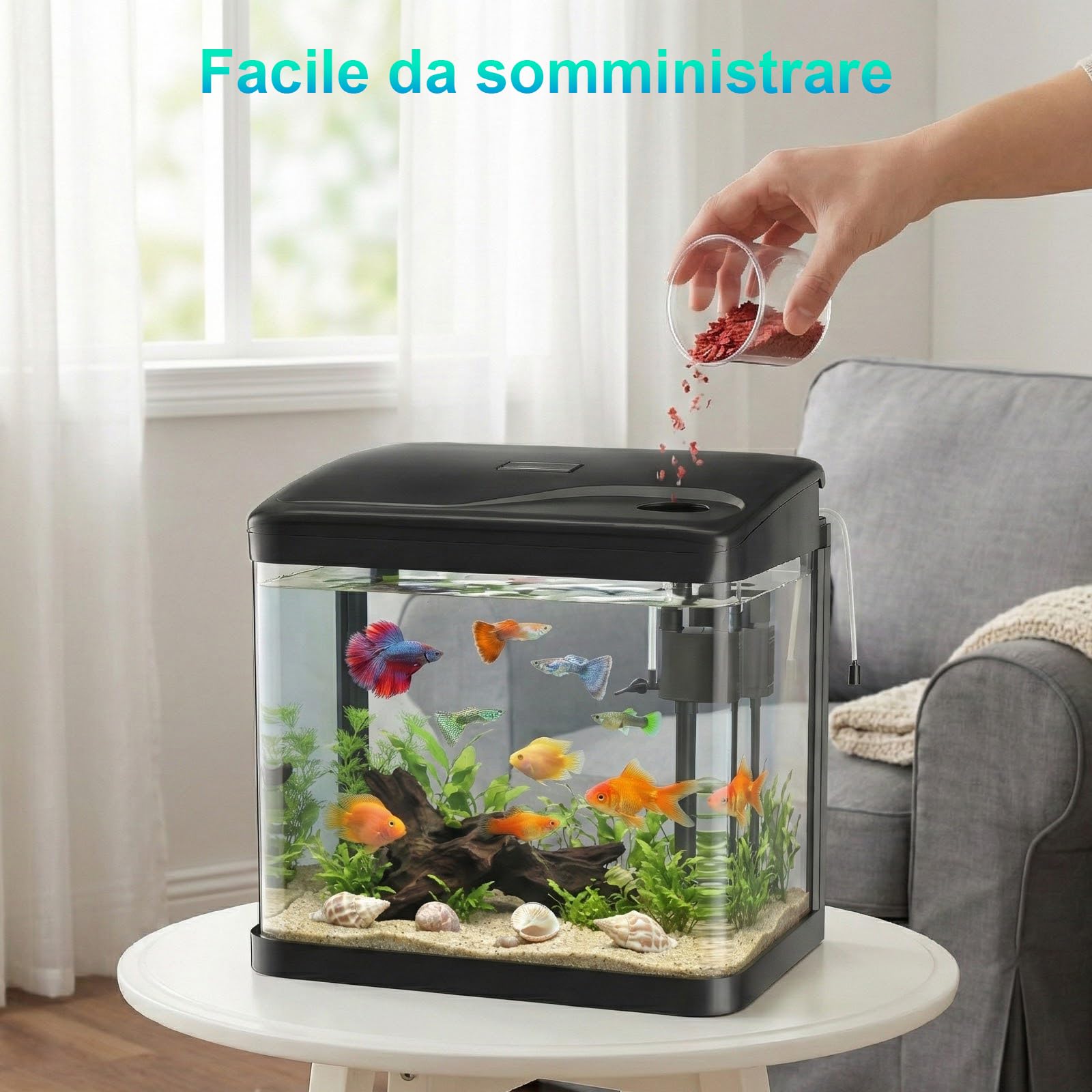 Acquario in Vetro Acquario Completo Acquarios Per Pesci Rossi,con Illuminazione a LED e Sistema di Filtraggio,10 Litri,Nero,Set Per Principianti