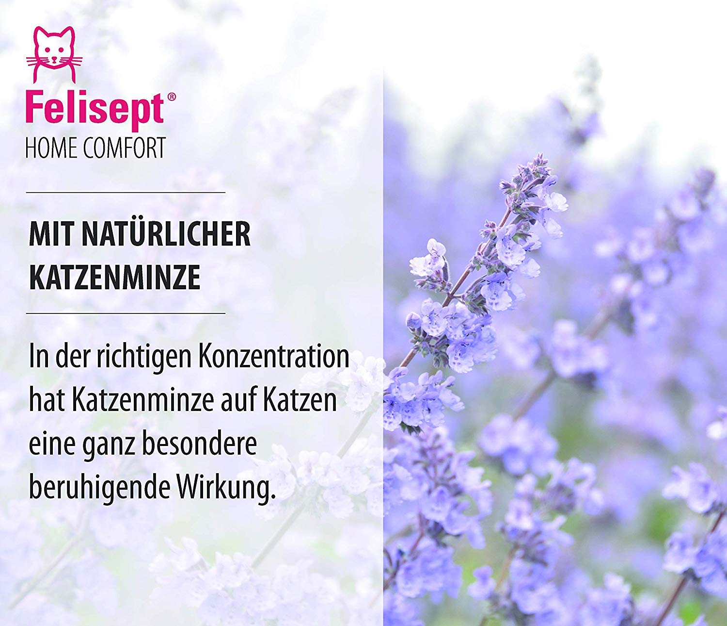 Felisept Home Comfort Set: Starter-Set (Verdampfer + Flakon 45ml) + Nachfüllflakon 3 x 45ml - Beruhigungsmittel für Katzen mit natürlicher Katzenminze: Ohne Pheromone Katzen