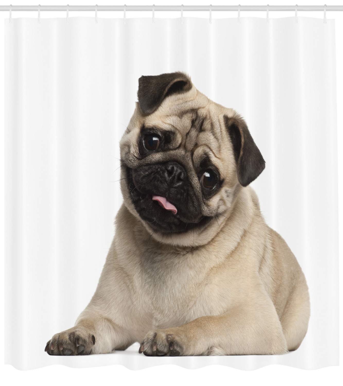 How Many Months Can You Shower A Puppy