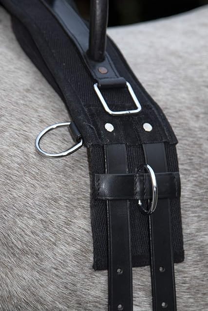 Foto 3 de 4 de HKM Canvas Cinchuelo con mango Negro Pony