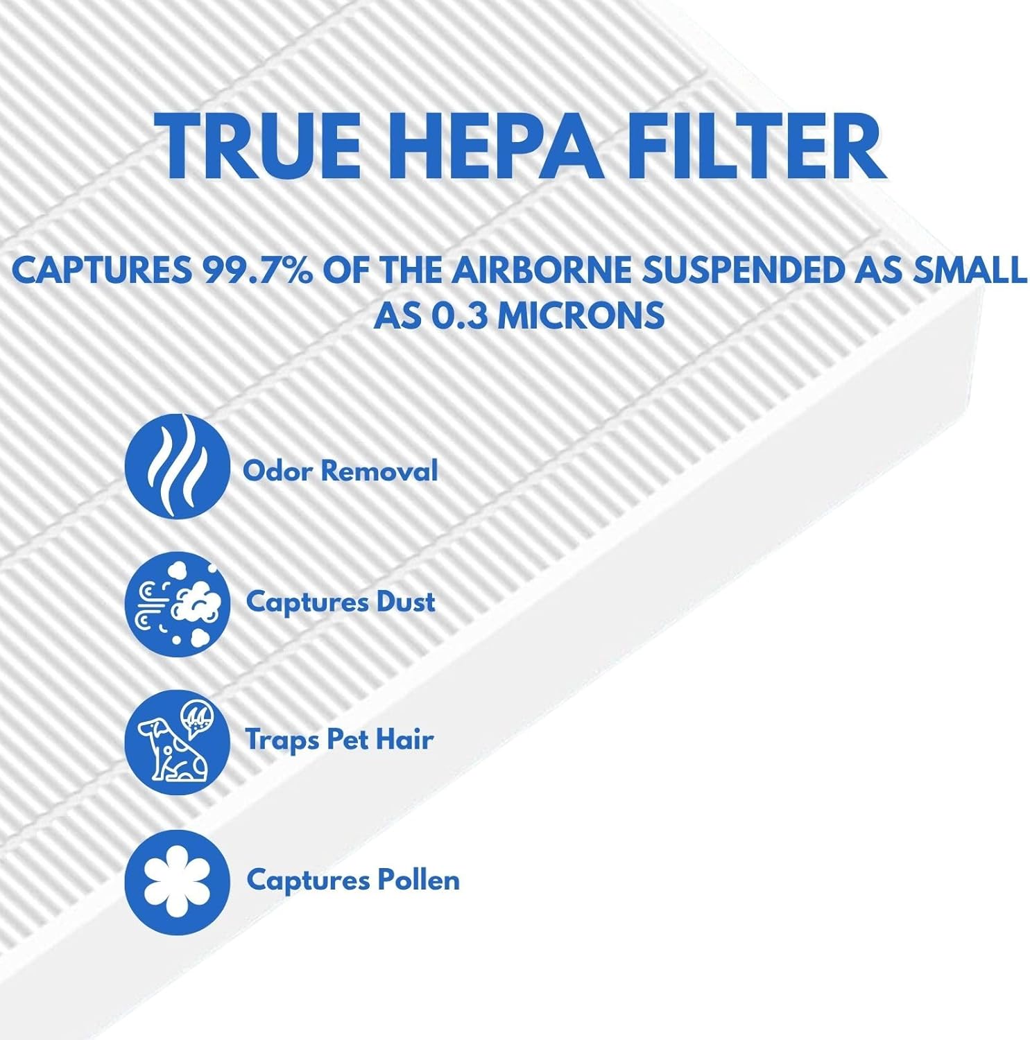 Nispira AP-1512HH Replacement Filter Compatible with Coway Airmega 200M Air Purifier AP-1518R Mighty Air (2) True HEPA (4) Activated Carbon Pre Filters