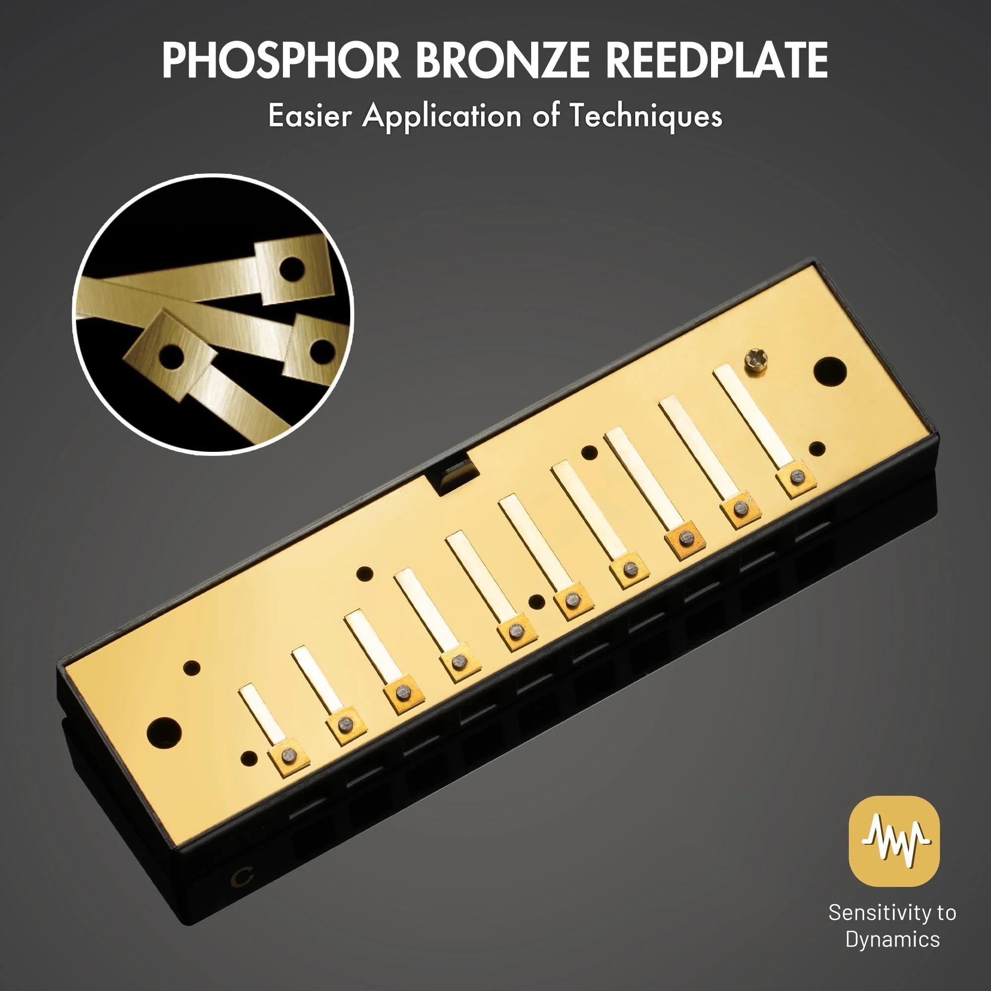 Armoniche a bocca Set Di Armonica Diatonica 10 Fori Blues Harp Mouth Organ 7 Per Adulti Band Player(D Tone)