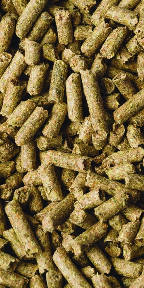 Scarlett Pet Products 476325 Scarl Natural Pellets Diet For Guinea Pig, 25-Pound
