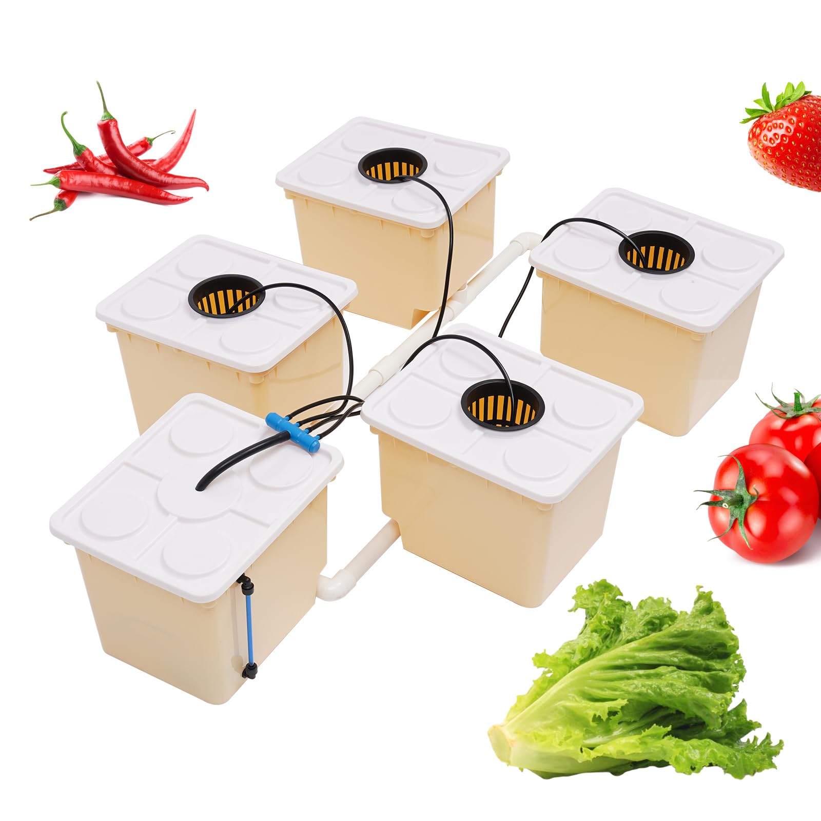 11L Hydrokultur Grow System Kit fur Home Indoor Hydroponic Anzucht-System,Indoor Garten Hydroponics Anzucht-System Anzuchtsets für Blumen & Kräuter