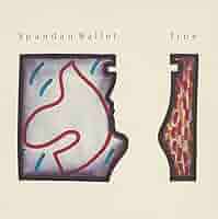 その他 Spandau Ballet True DJ 19 Remix Spandau Ballet True DJ 19 Remix