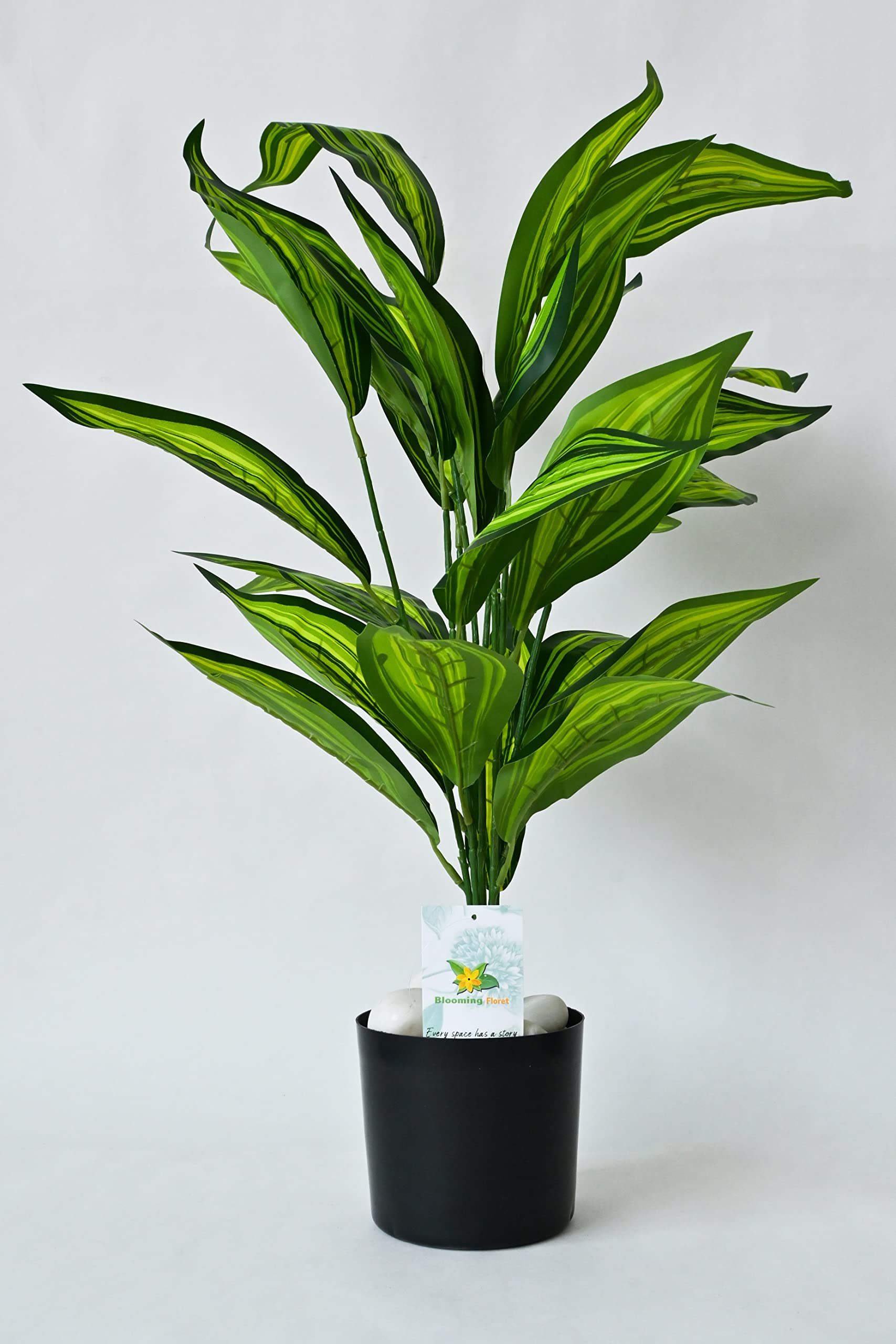 See full amazon price history chart for Blooming Floret Artificial Red Iceton Croton Plant | Big Ornamental Plant for Interior Decor/Home Decor/Office Decor | 26 Leaves with Basic Black Pot | 71.1 cm Tall Indoor Plant Blooming Floret Artificial Red Iceton Croton Plant | Big Ornamental Plant for Interior Decor/Home Decor/Office Decor | 26 Leaves with Basic Black Pot | 71.1 cm Tall Indoor Plant (B0B4T8VNFR) Amazon Price History, Amazon Price Tracker