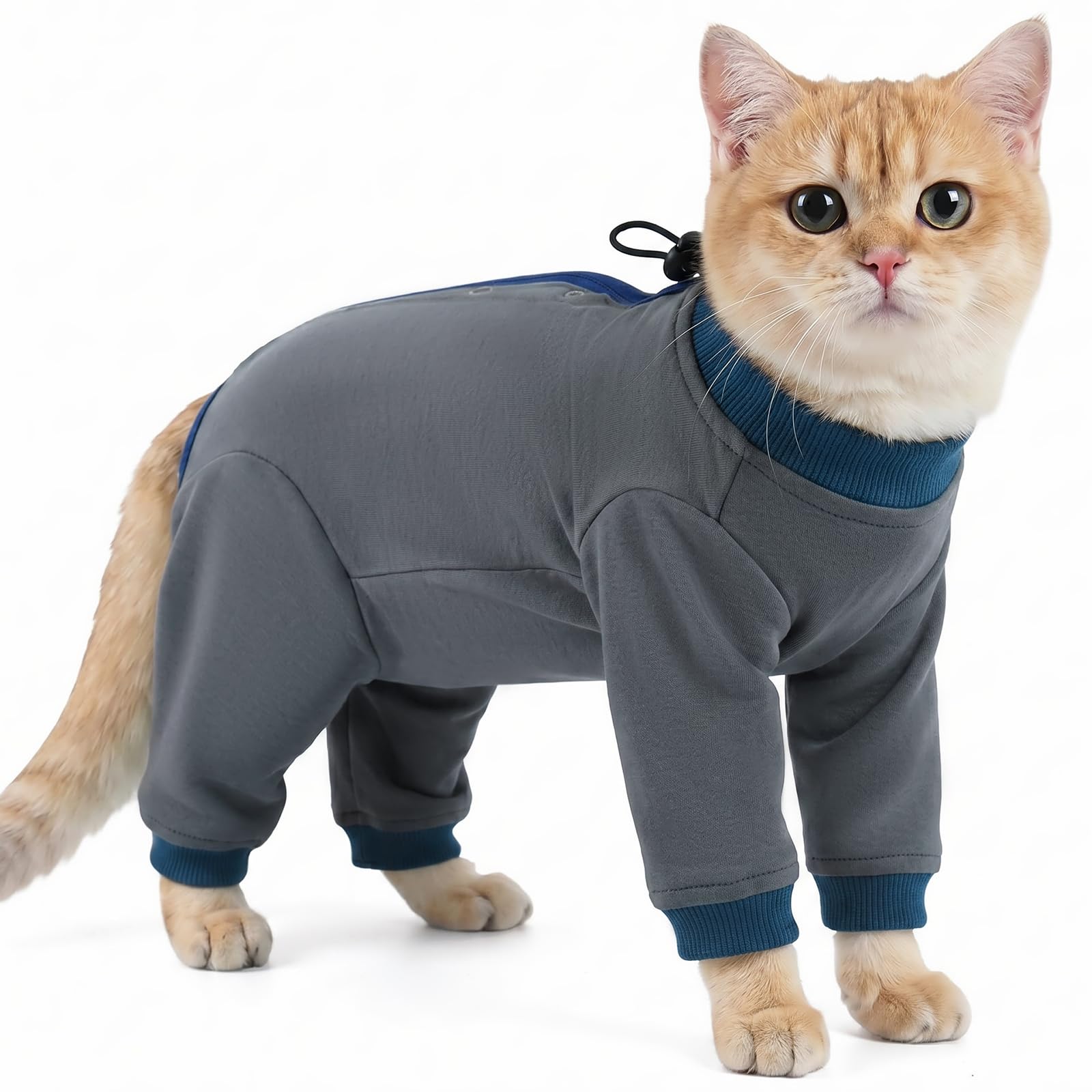 PUMYPOREITY Cat Surgery Recovery Suit, Soft Vest After Surgery Female Cat Onesie With Legs Neutering Recovery Suit Male Long Sleeve Cone Alternative After Spaying & Neutering(Grey, L)