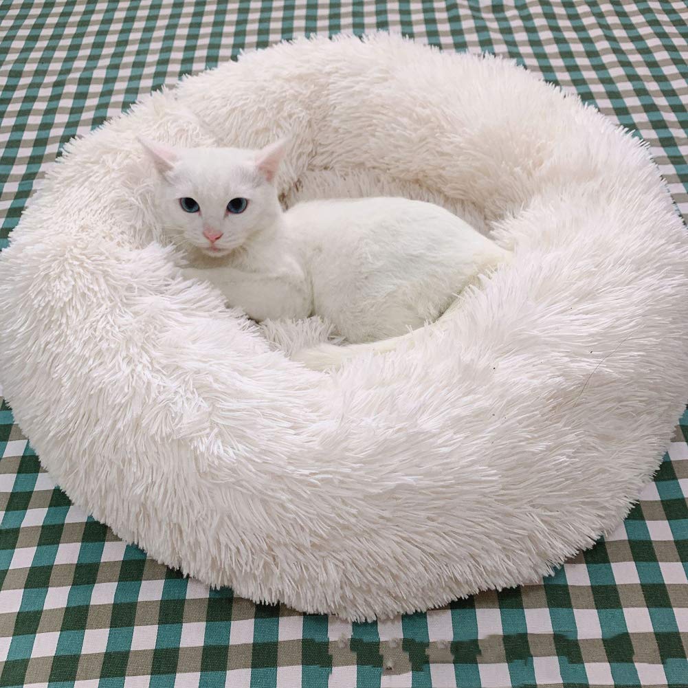 Lit lavable pour chaton et petit chien qui élimine les odeurs tenaces