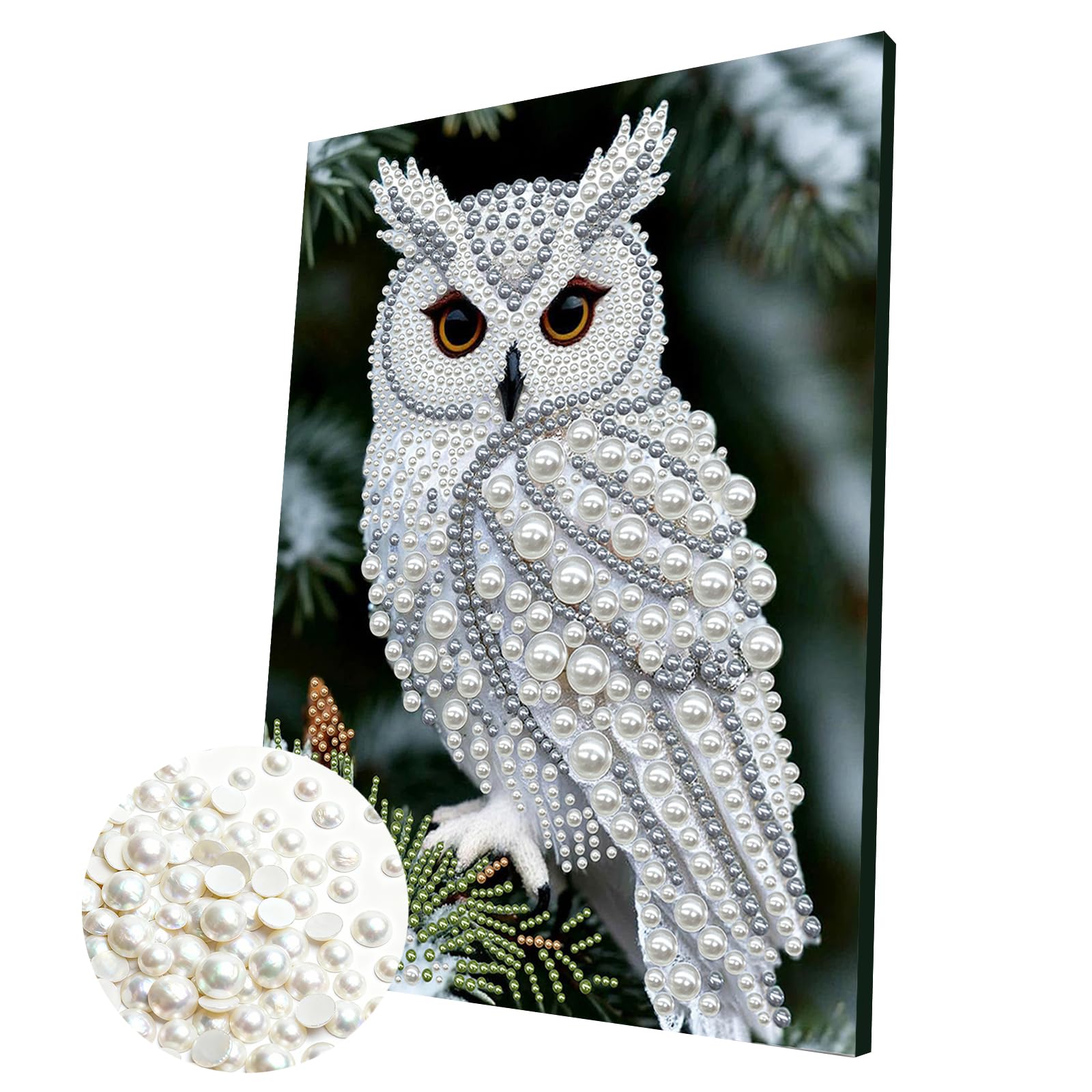 DIY Pearl Painting Kit with Wooden Frame, 3D Plastic Pearl Gemstone Ocean Art Craft for Adults Beginners, Diamond Art Kits for Adults, Home Wall Decor Ready Gift for Women(Owl)(30 * 40cm)