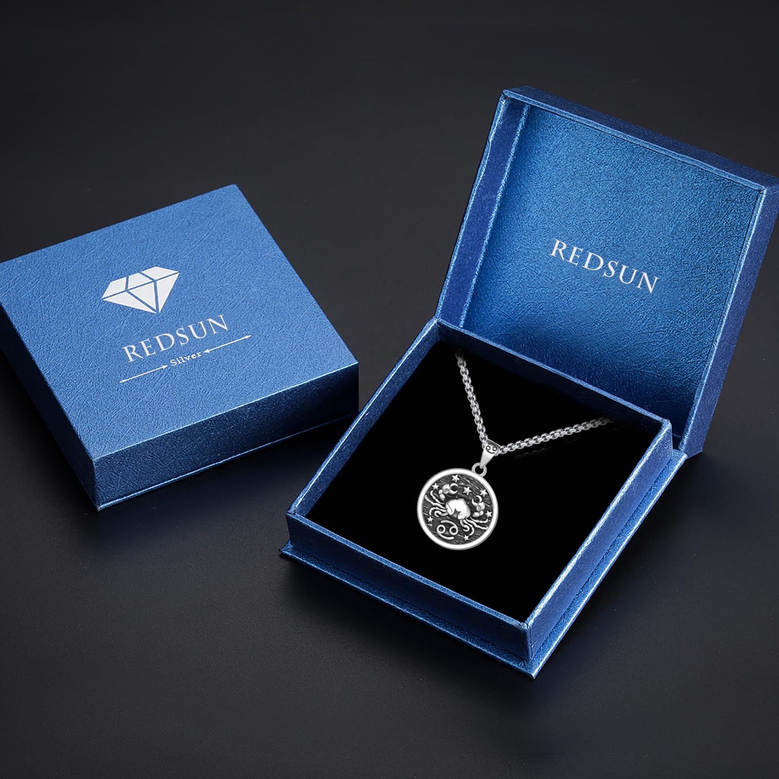 REDSUN Collana a costellazione, con segno zodiacale, in argento sterling 925, con ciondolo a costellazione, 12, collana ossidata, per donne e ragazze