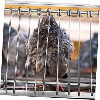 銅製:夫婦鳩(小判台付) ふるさと納税 甲斐市 純金 K24 小判 大小セット【BQ-155