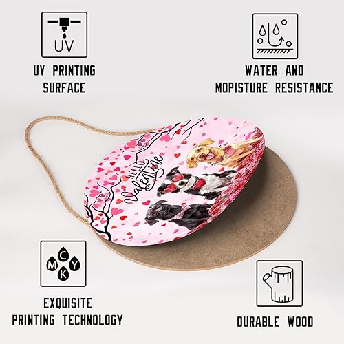 Miniatura 59 de Cartel divertido de No Soliciting para casa de 12 x 12 pulgadas, letreros de madera para puerta delantera, rústico, no solicitar, decoración Sin