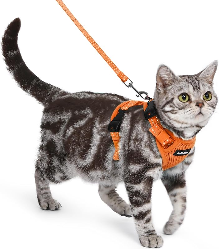 Peitoral para Gatos com Guia Ajustável e Fecho no Pescoço rabbitgoo Laranja