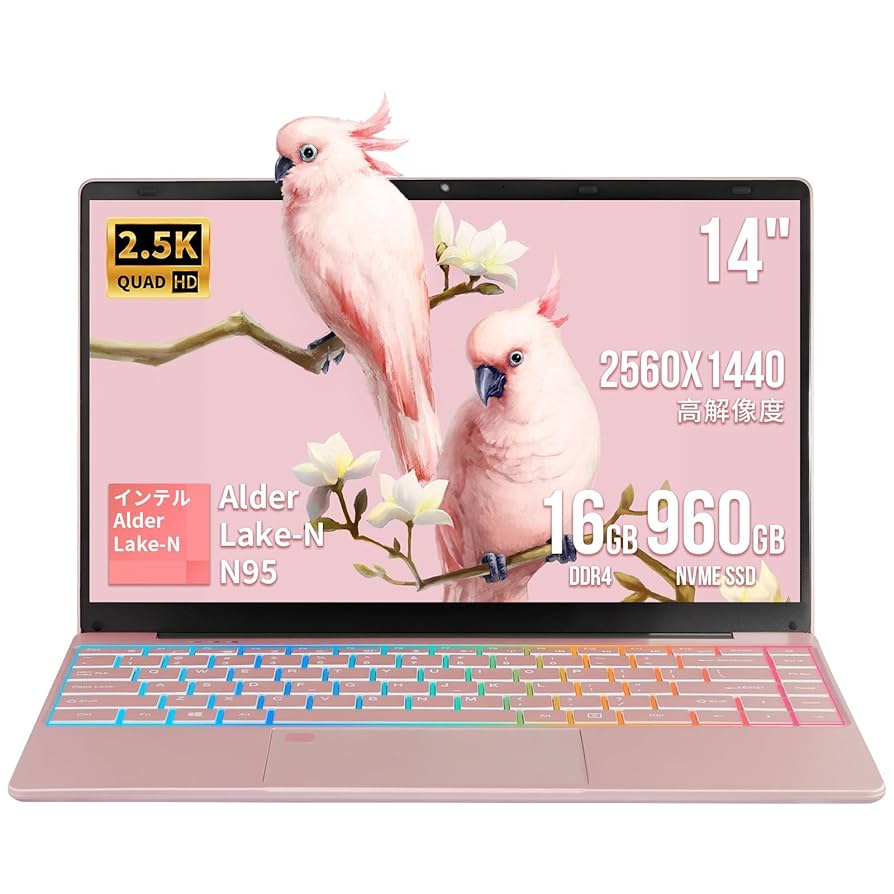 Amazon.co.jp: BINTEC ピンクノートパソコン/14インチ2.5K