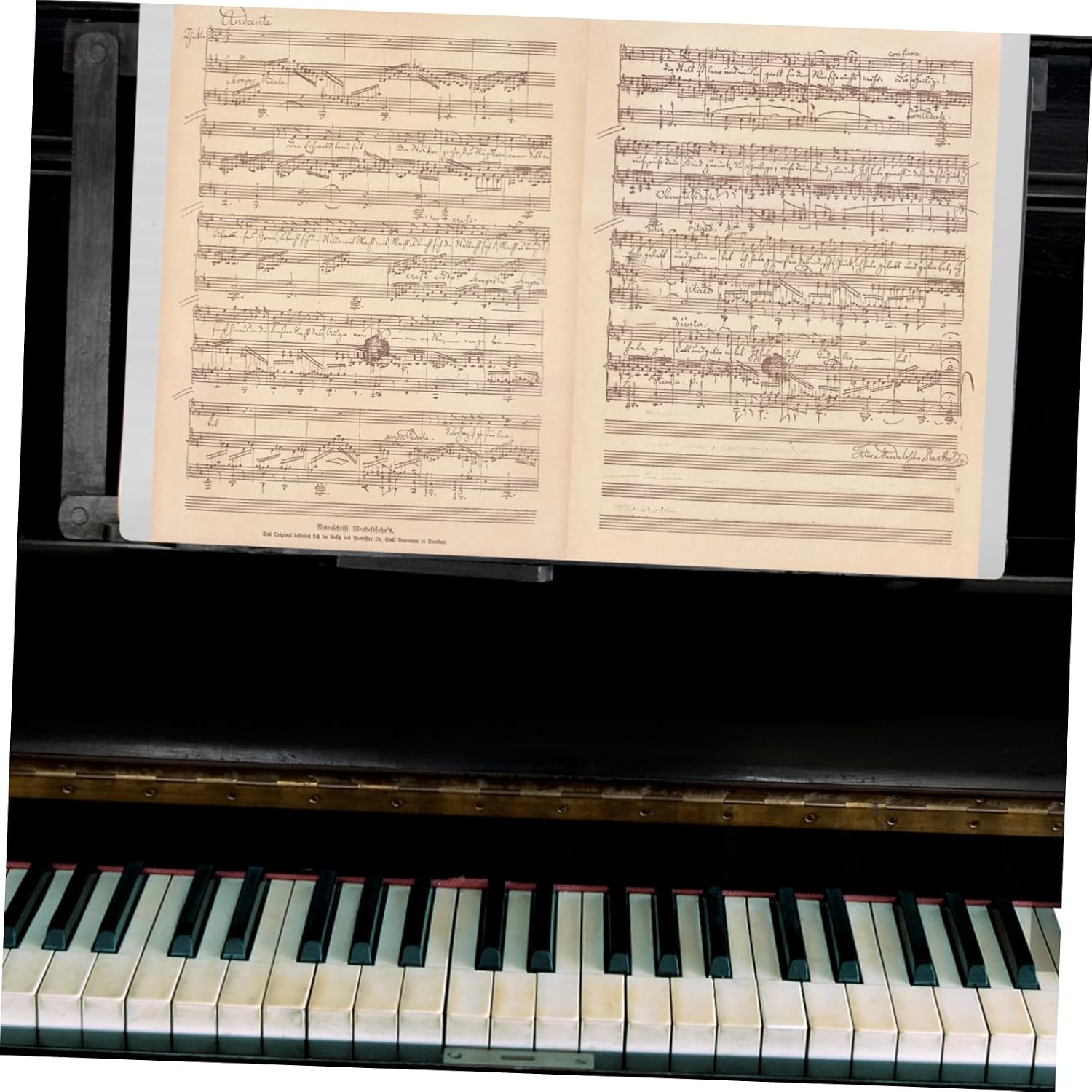 Levemolo Music Sheet Holder with Plastic Sleeves for Organizing Sheet Music Durable Choir Folder for Piano Performance Secure Storage for Musicians and Bands