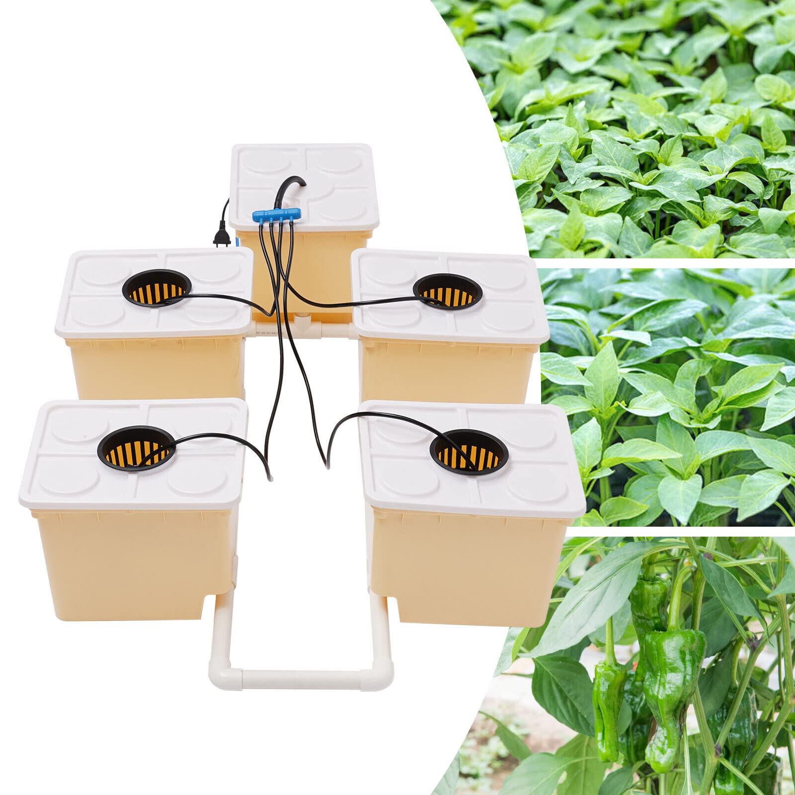 de Cultivo hidropónico de 11 L, Materiales PP y, Kit de Cultivo hidropónico para jardín Interior, Kit de Cultivo hidropónico con 5 Cubos, Bomba de Agua