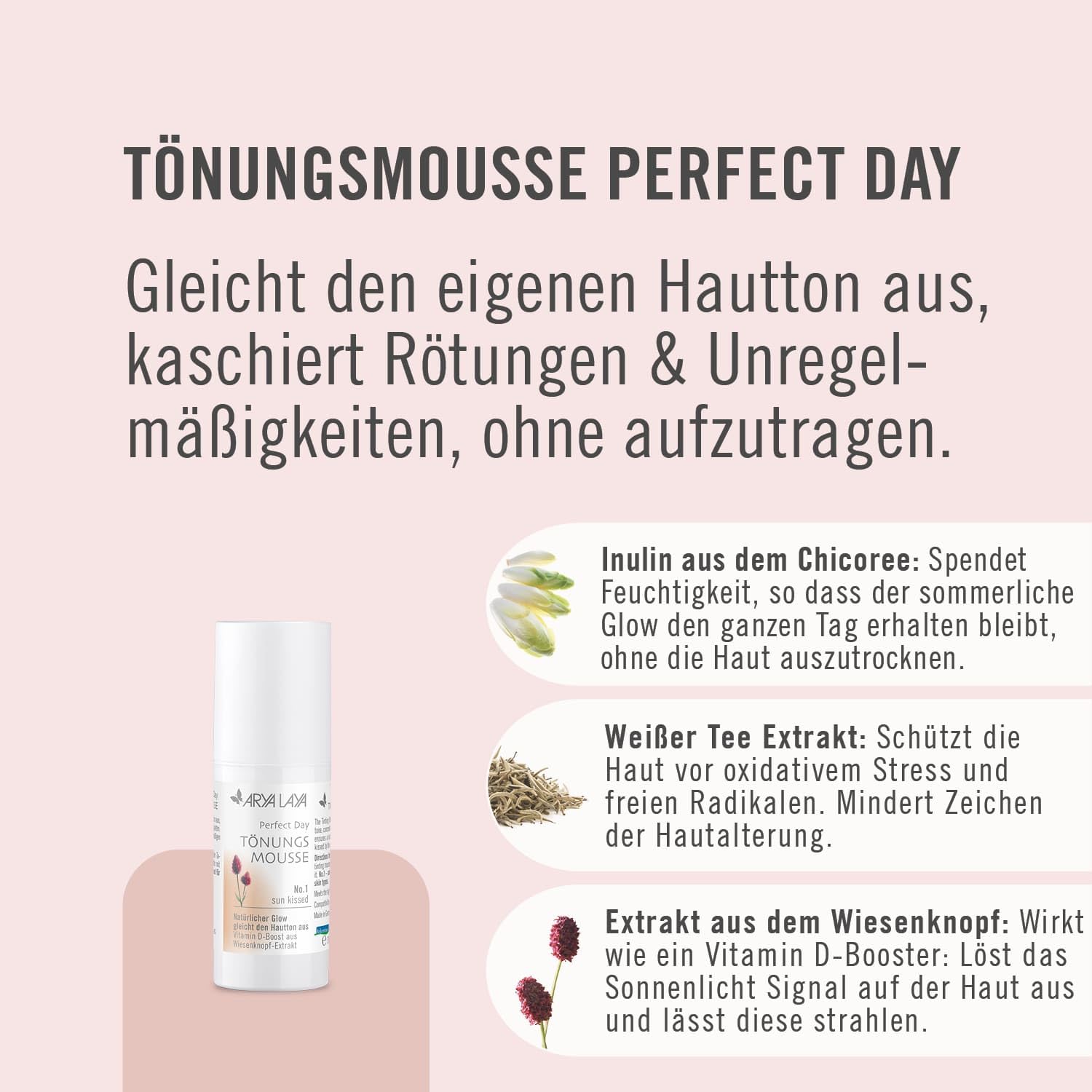 ARYA LAYA Tönungsmousse Perfect Day No. 1 "sun kissed" (helle bis mittlere Hauttypen), 30 ml – gleicht den Hautton aus, kaschiert Rötungen und Unregelmäßigkeiten, mit Vitamin D-Booster, vegan
