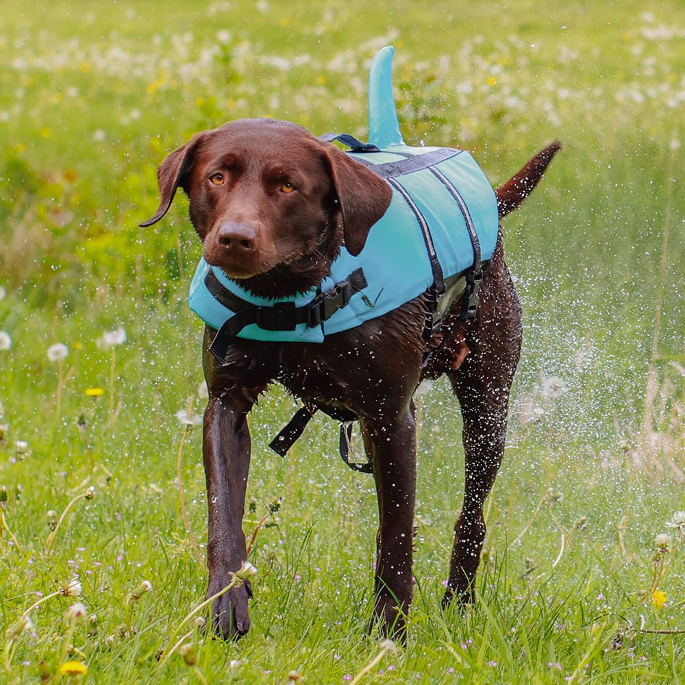 Nobby 61031 Hunde Schwimmhilfe Sharki hellblau Größe: S, 30 cm