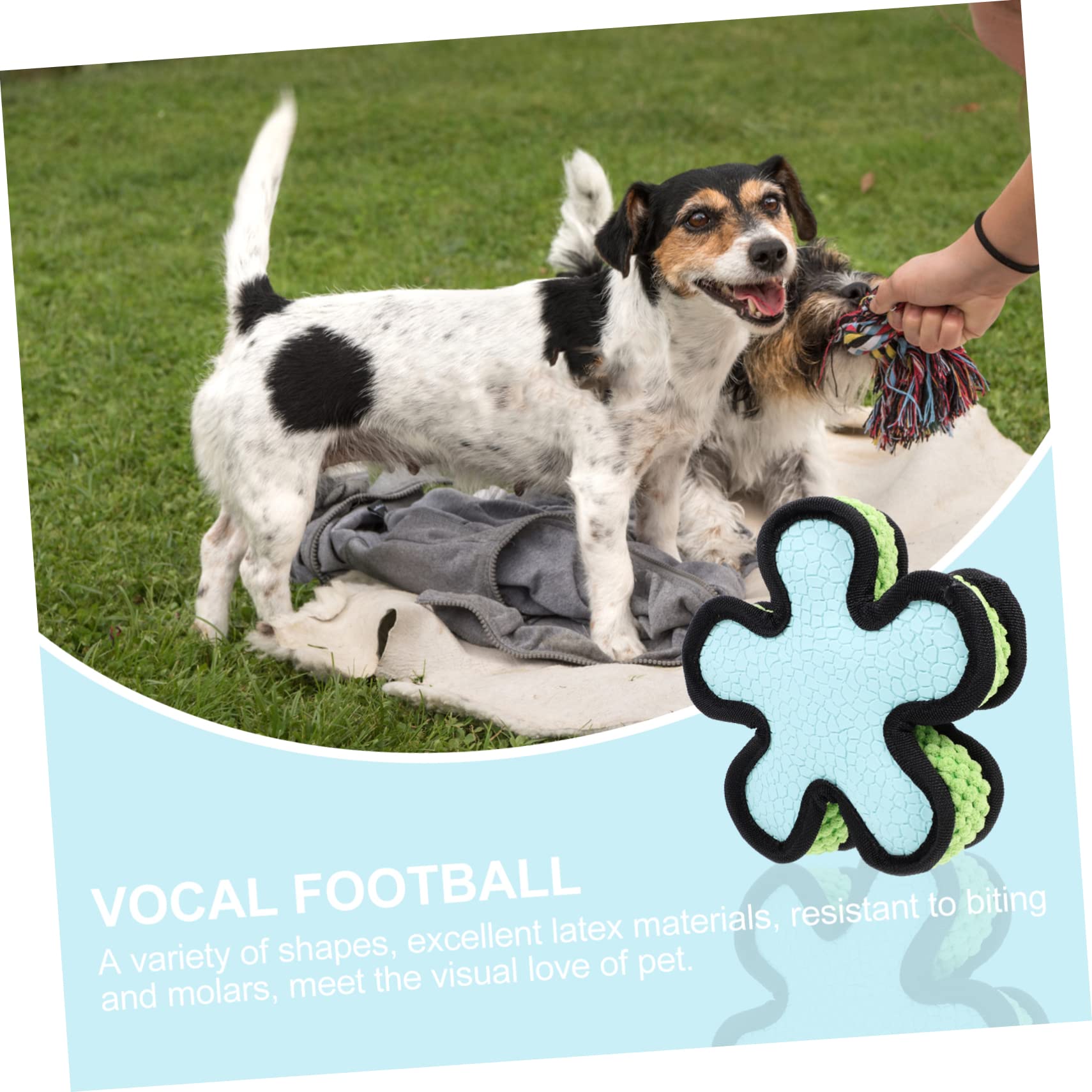 BESPORTBLE 3piezas Juguete De Molar para Perros Sonido Pelota De Flexible para Cachorros para Jugar y Masticar Aumenta La Interacción Entre Mascotas y Dueños