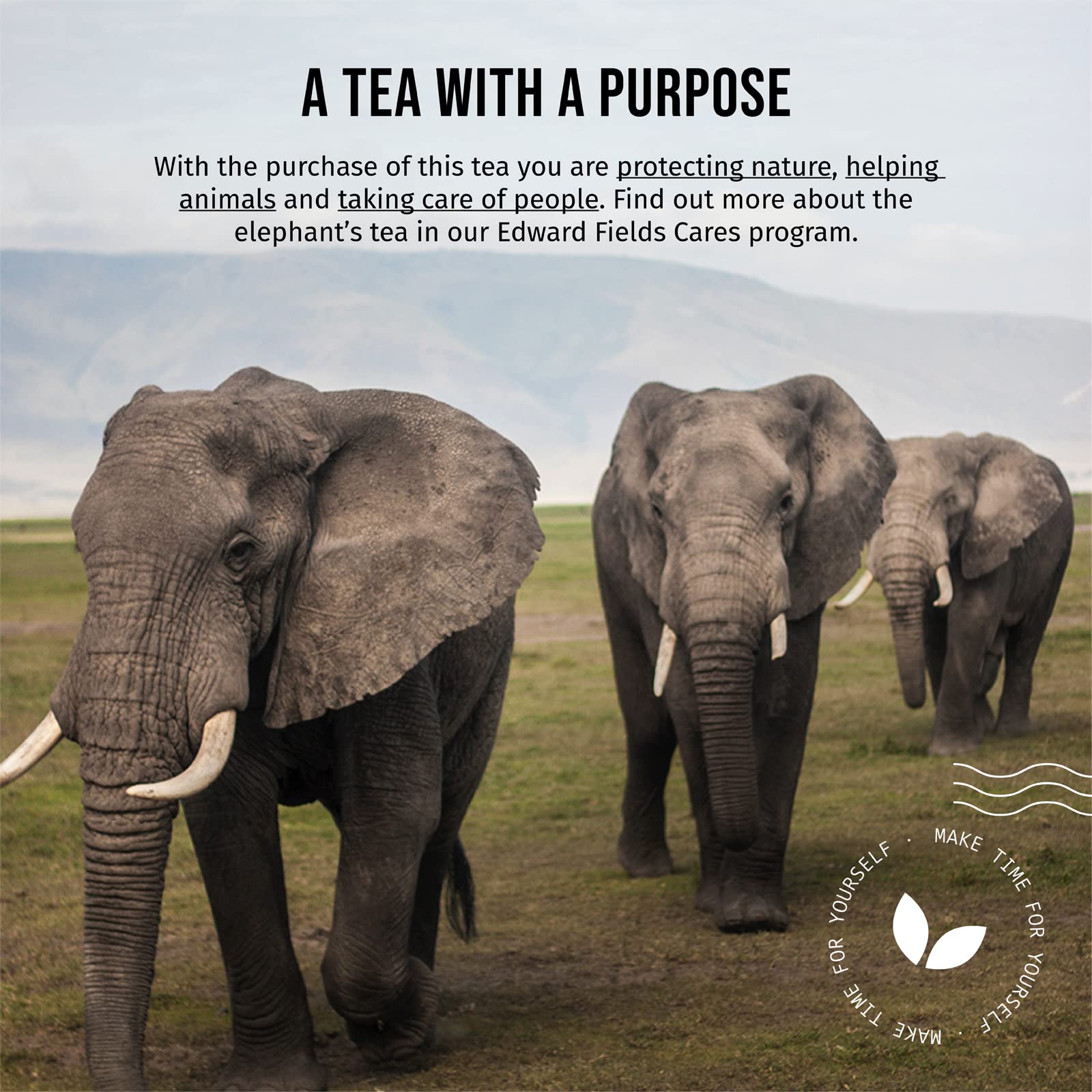 Edward Fields Tea ® - Té blanco orgánico a granel de origen único Vietnam. Té bio recolectado a mano con ingredientes naturales y ecológicos. 100g / 50 tazas