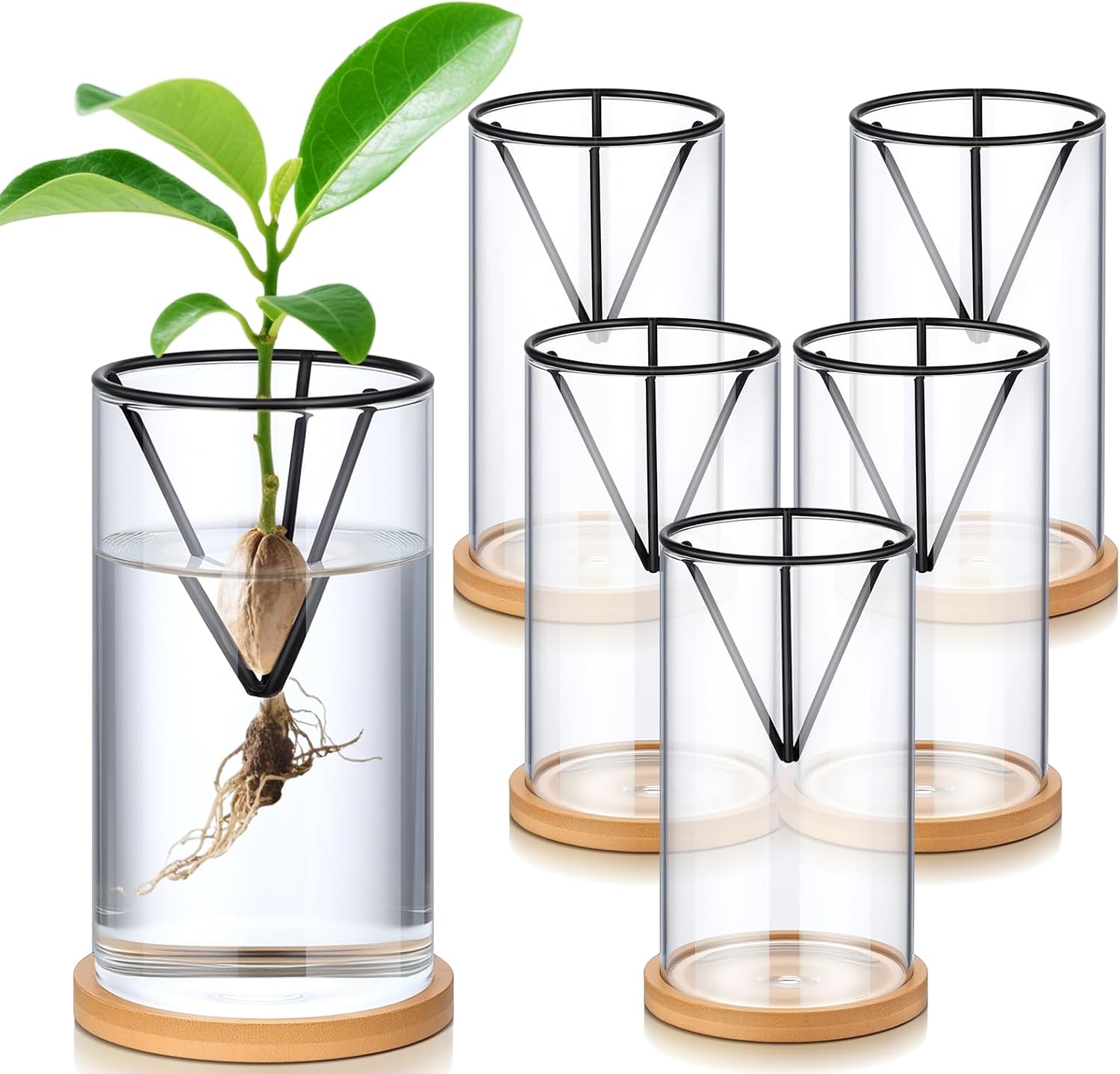 Baderke 6 Pcs Glass Avocado Tree Growing Kit Avocado Seed Starter Vase Planter Including Glass Vases with Wooden Bases and Metal Brackets for Indoor Outdoor Garden Office Decoration