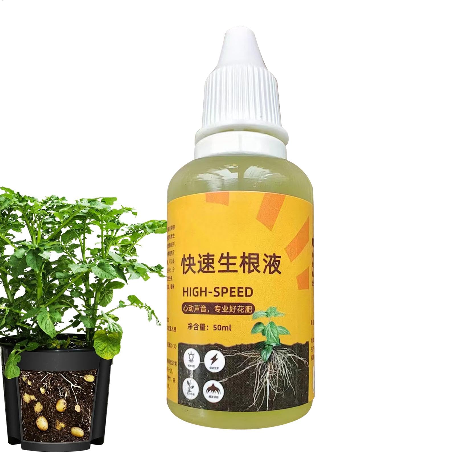 真植生体水 50ml Amazon.co.jp: 植物根の根源液液-50ml活性化液体溶液|ルートゲル、植物