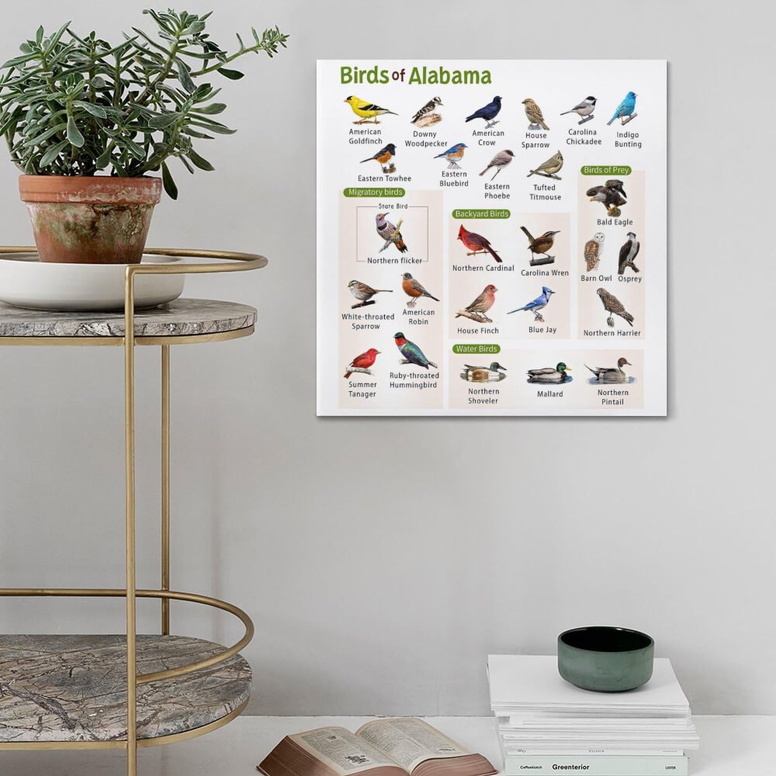 HNPBB Poster mit Vogelführer, Motiv: Alabama, dekoratives Gemälde, Leinwand, Wandposter und Kunstdruck, modernes Familienschlafzimmer, Dekoration, Poster, 50 x 50 cm