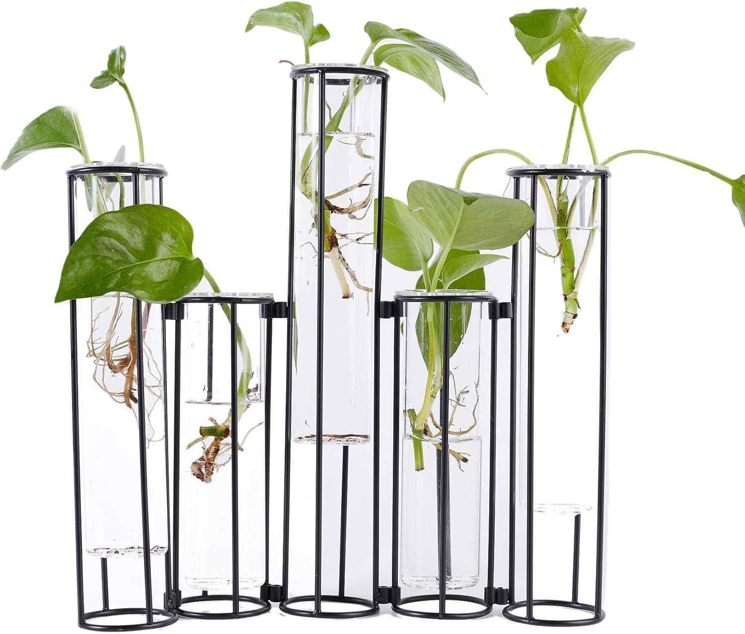 Glass Test Tubes Vase with Stand for Flowers, Black Hinged