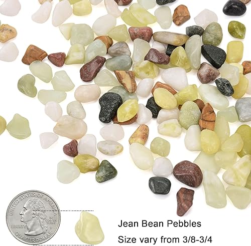 Miniatura 2 de ZENFUN Guijarro de paisajismo de 6 libras, rocas de río, guijarros ornamentales decorativos, piedras de paisajismo de jardín, relleno de grava para