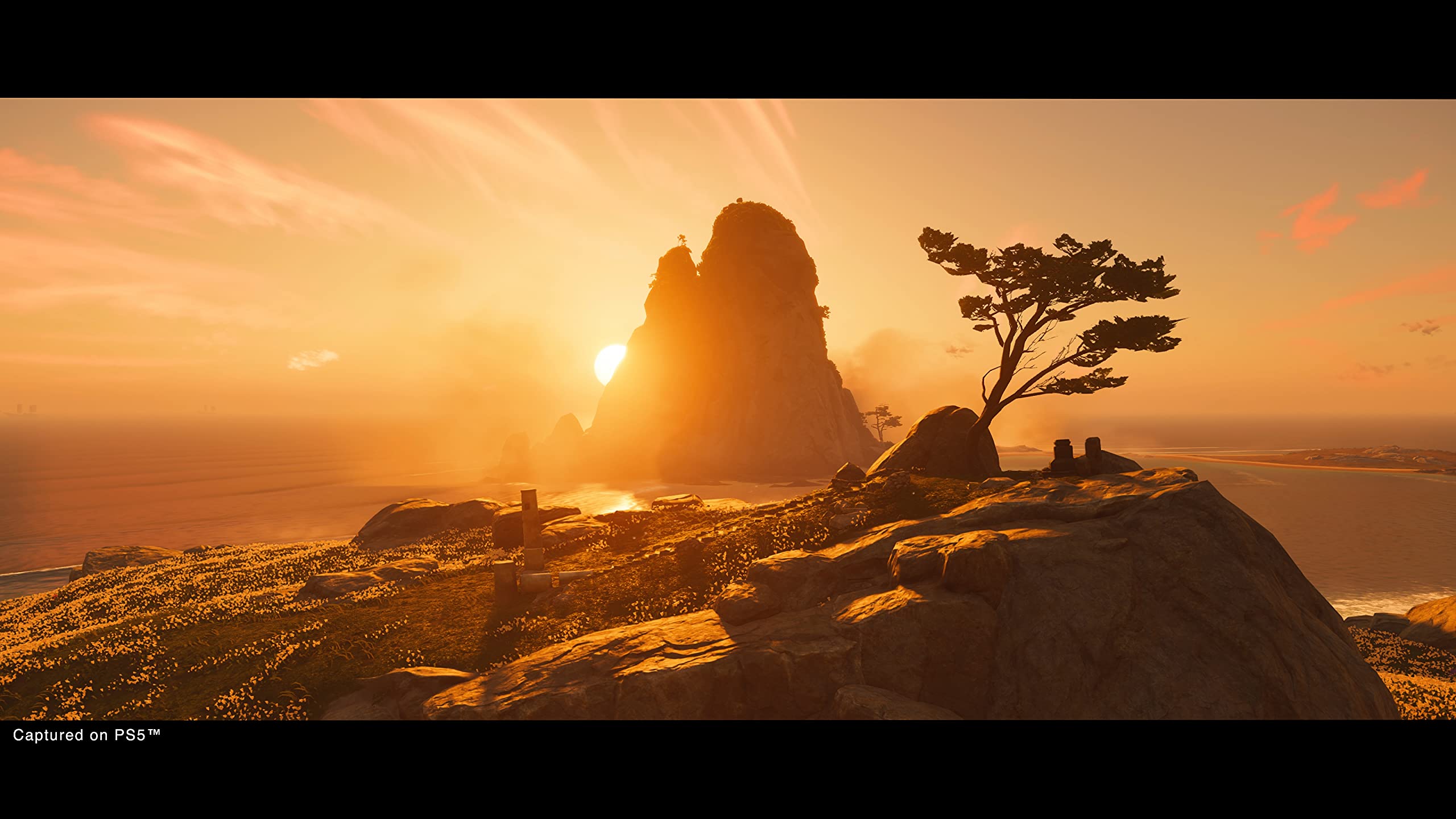 Ghost of Tsushima Director's Cut PS5 | Videojuego Original de Playstation Sony Intereactive Entertainment - Configurable en Japonés, Español, Portugués o Inglés