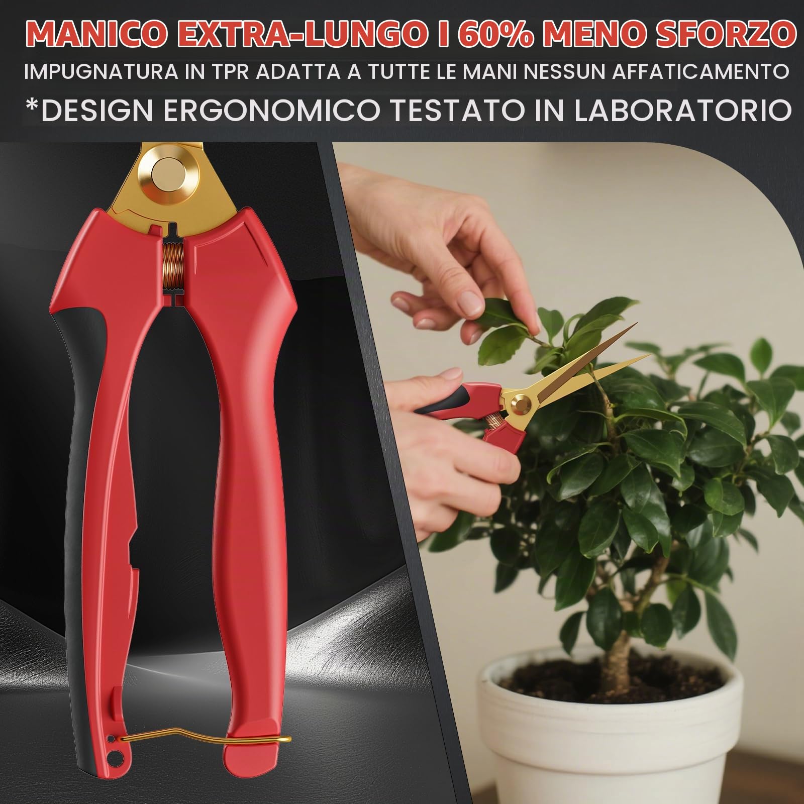 FLORA GUARD Confezione da 2 forbici da giardino piccole con lame curve rivestite in titanio, forbici per la raccolta di bonsai per fiori, frutta e verdura