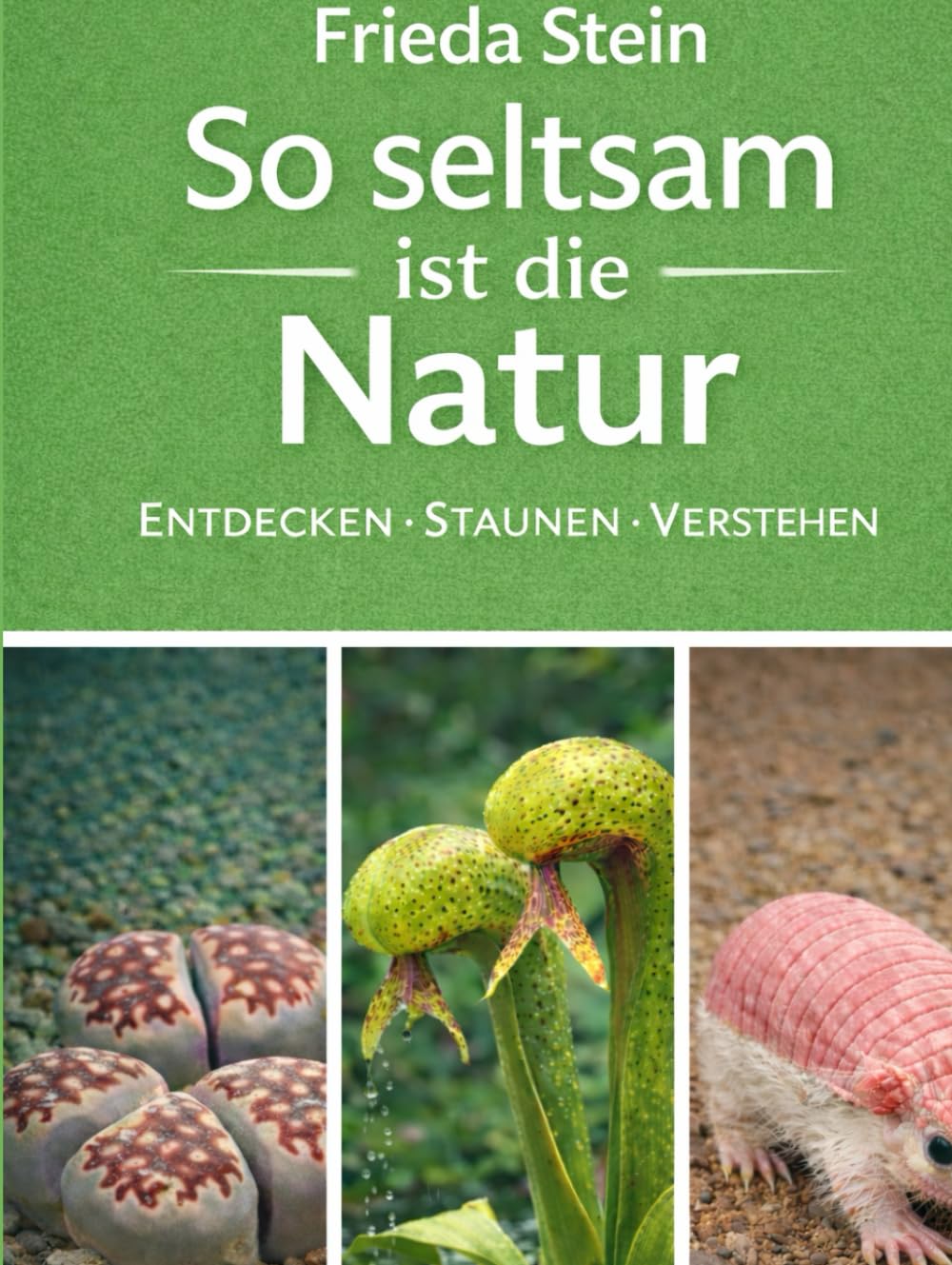 So seltsam ist die Natur: Entdecken, staunen, verstehen