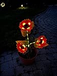 Review Image by GaS Ginsters GaS Ginsters