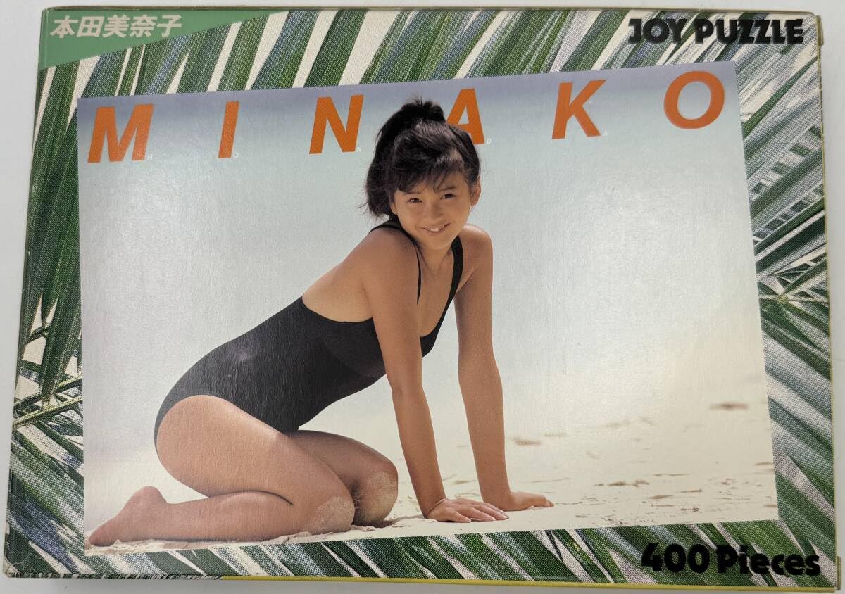 本田美奈子さんジグソーパズル400ピース。 本田美奈子 ジグソーパズル400ピース - メルカリ