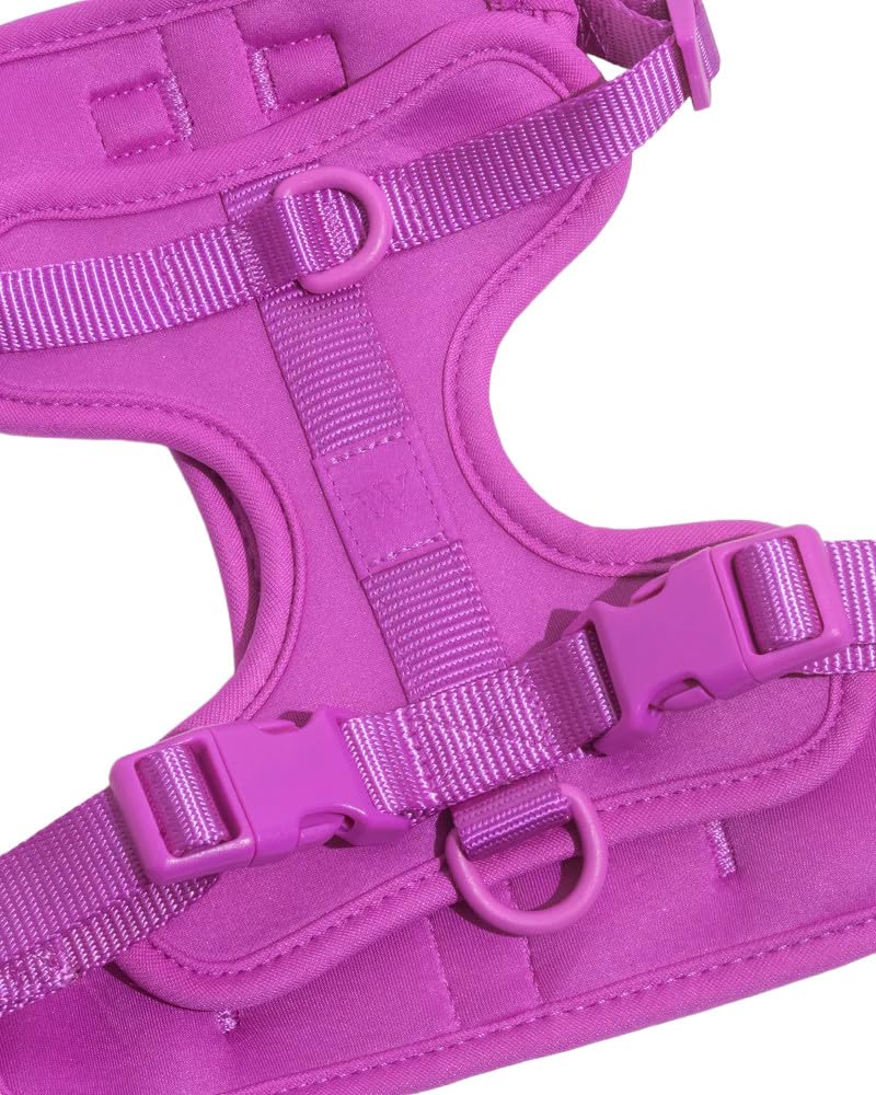 Amazon.com : Wild One Dog Harness, No-Pull Pet Harness with 3