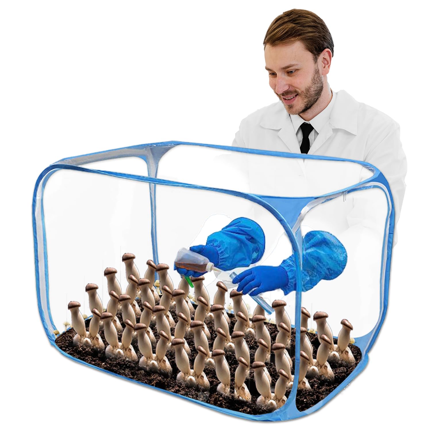 Mushroom Still Air Box