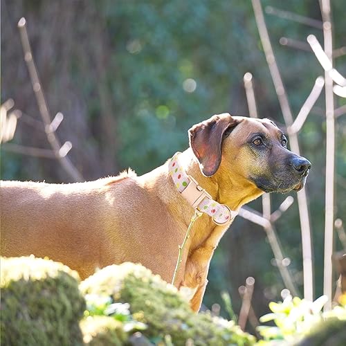 Miniatura 5 de Collar de perro con hebilla de metal duradero y ajustable suave para perros pequeños medianos y grandes punta rosa L 15-23 pulgadas