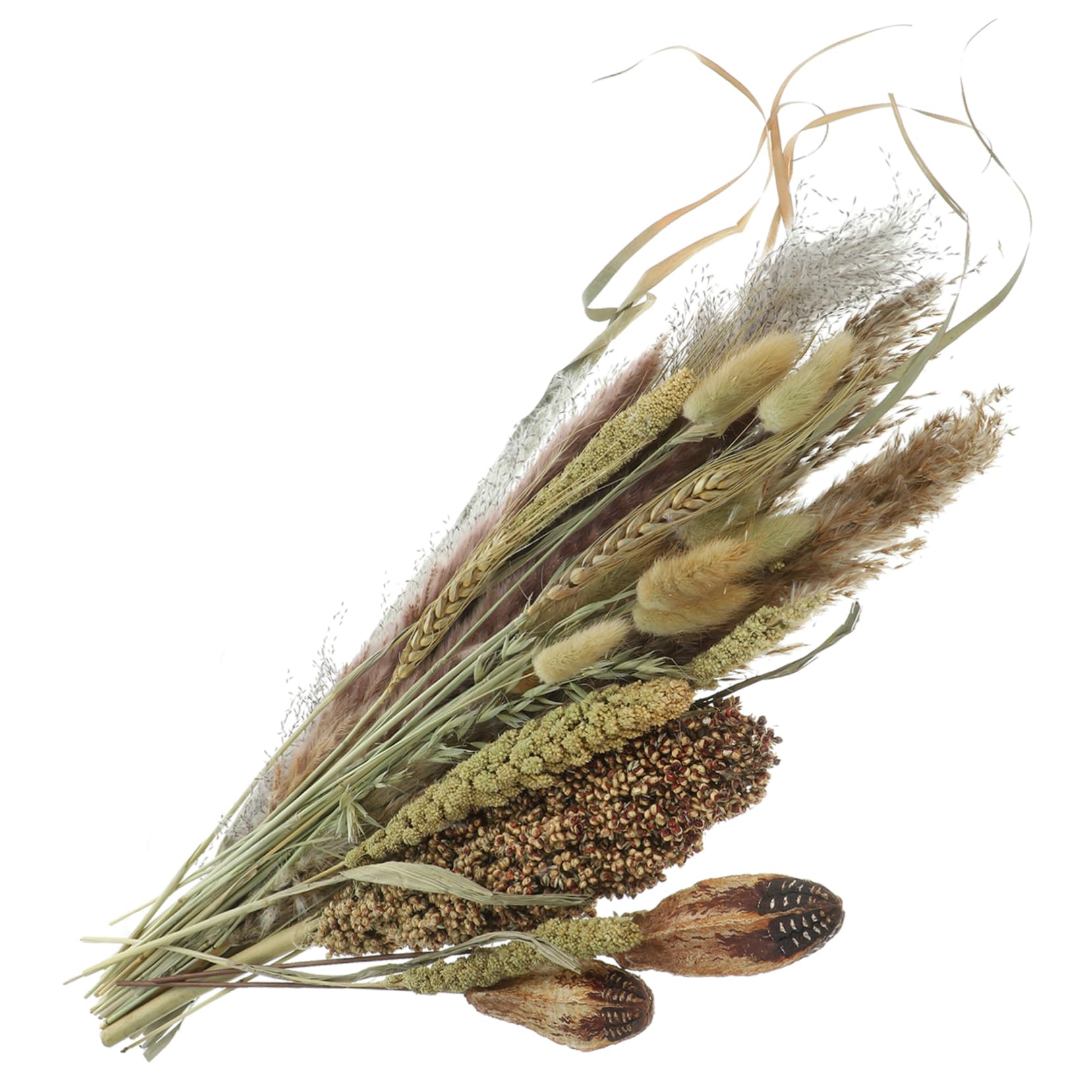 DECHOUS 2pezzi Bundle Di Decorazioni Naturali Pampas e Broomcorn Per Vasi Bouquet Essiccati Per Arredare Casa e Eventi Speciali Atmosfera Bohemien e Nordic