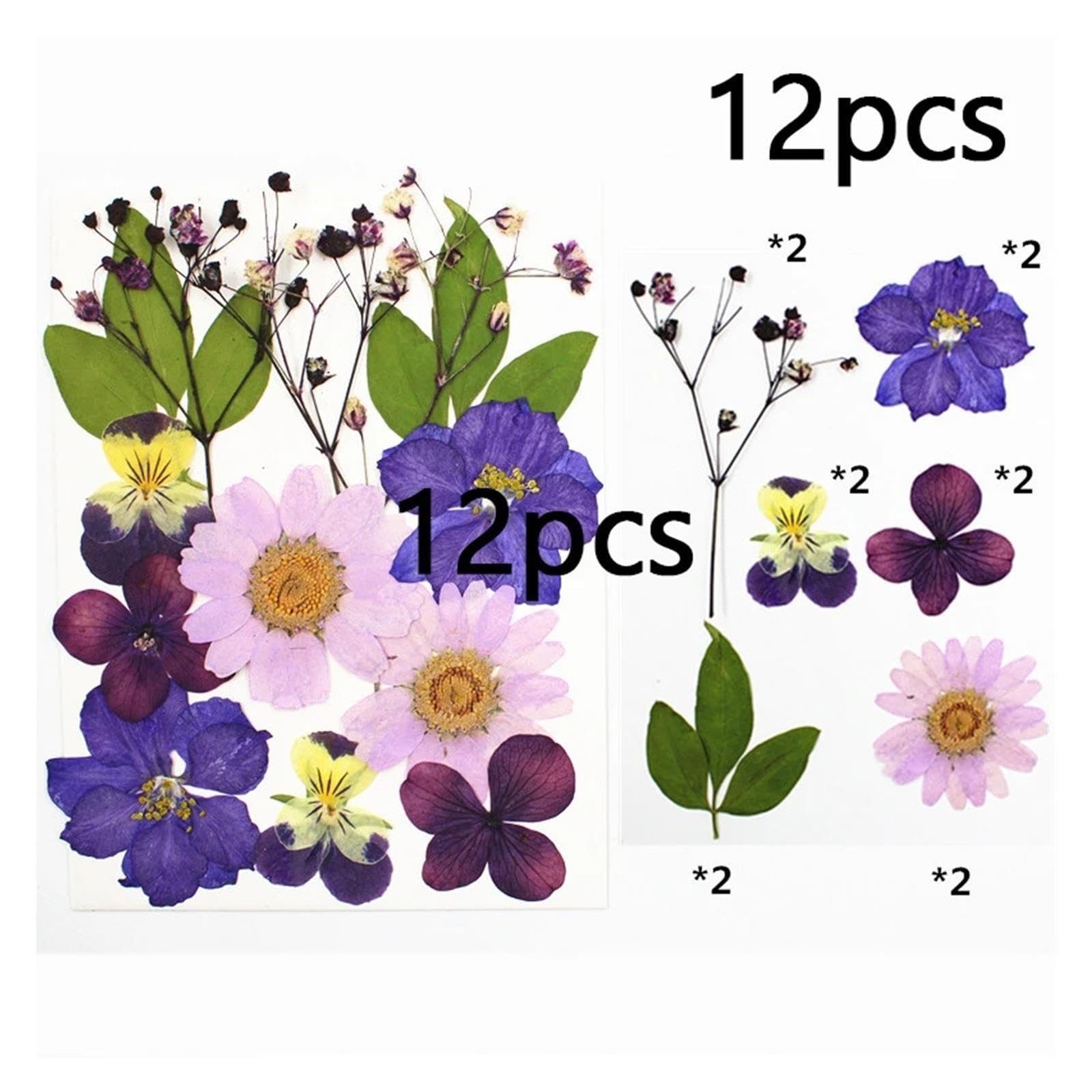 Stampi per Resina Stampo for Carte Rotonde da 12 Pezzi
