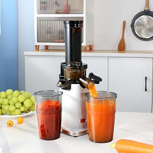 Miniatura 8 de Exprimidor de masticación, máquina exprimidora de prensa en frío, exprimidor lento de conducto de alimentación de 1.3 pulgadas, extractor de jugo