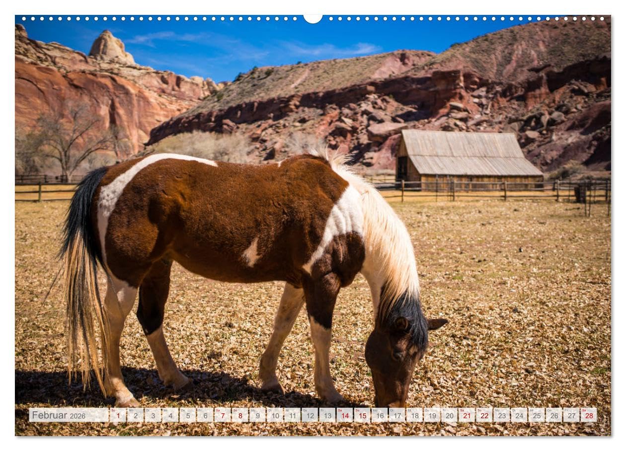 Der Südwesten der USA - Rundreise (hochwertiger Premium Wandkalender 2026 DIN A2 quer), Kunstdruck in Hochglanz: Rundreise durch die Nationalparks und ... im Südwesten der USA. (CALVENDO Orte)