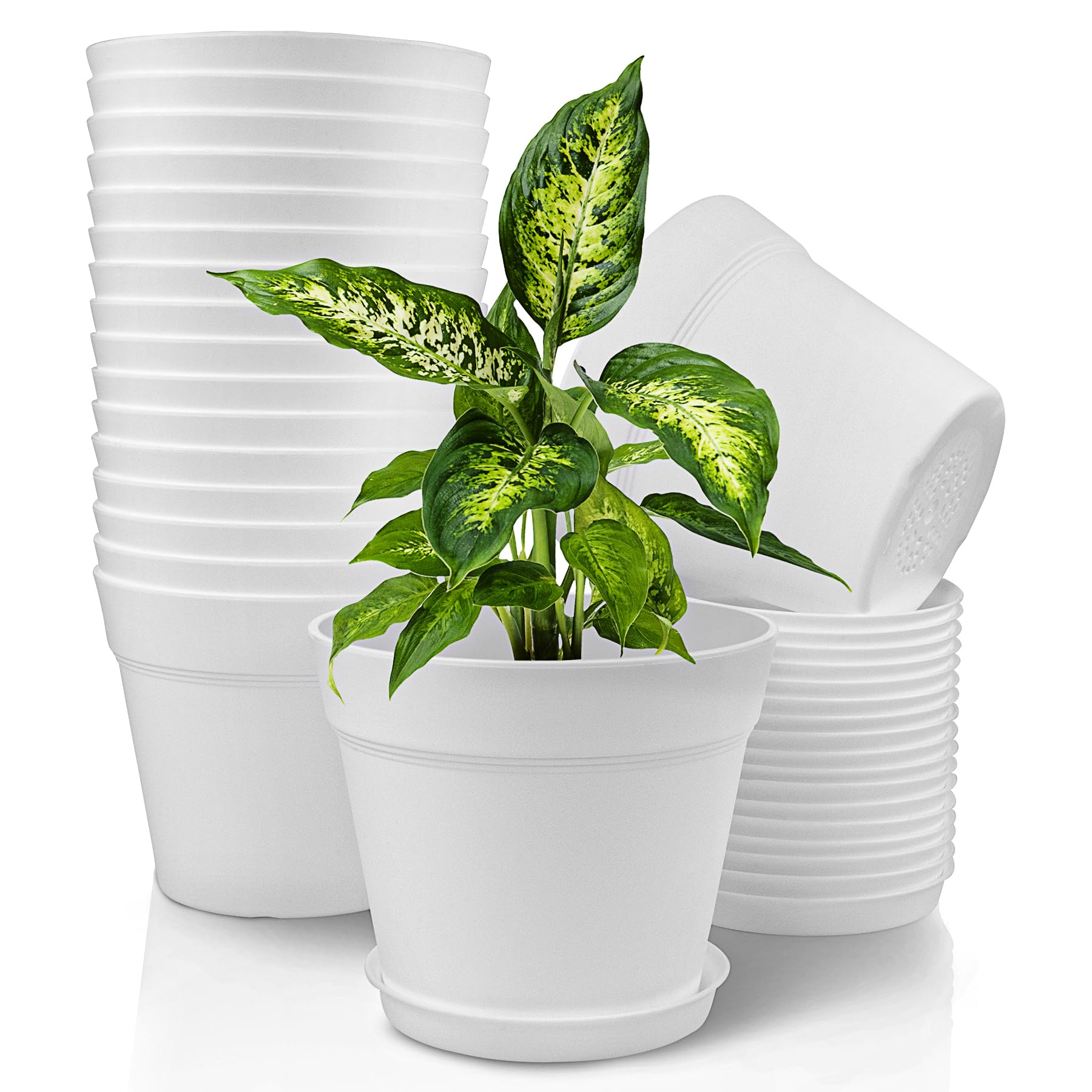 Amazon.com: Monoture 18 入6 英吋(約15.2 公分)植物盆,附排水孔和托盤